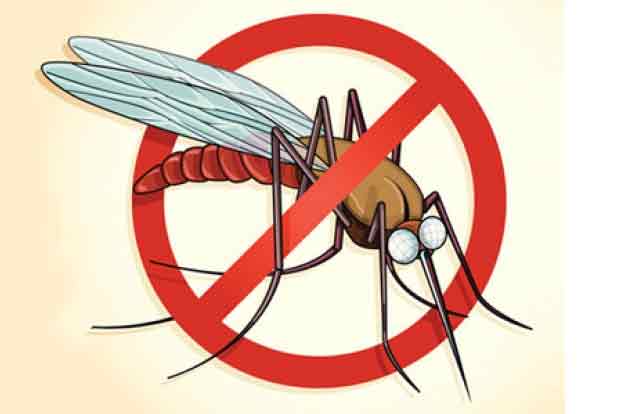 Nguyên nhân gây bệnh sốt rét và cách khắc phục tại nhà