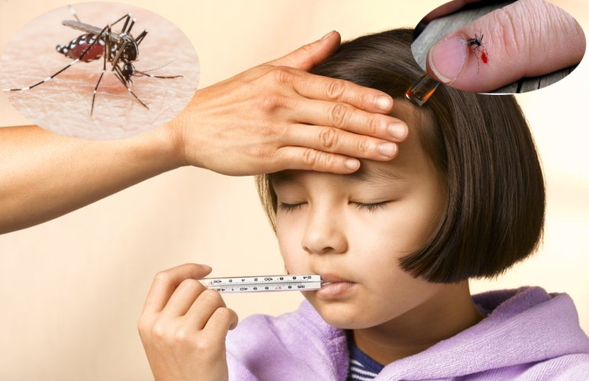 Triệu chứng, cách điều trị và cách phòng ngừa bệnh sốt xuất huyết ở trẻ em