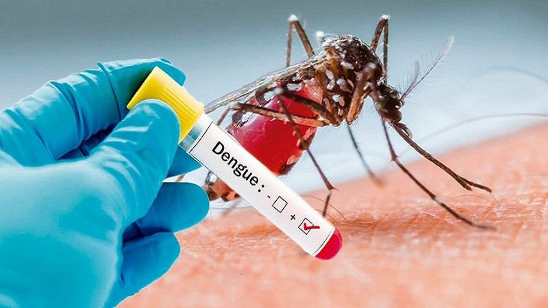 3 giai đoạn phát triển của bệnh sốt xuất huyết
