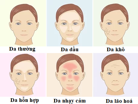 hướng dẫn bạn cách chăm sóc da theo từng loại
