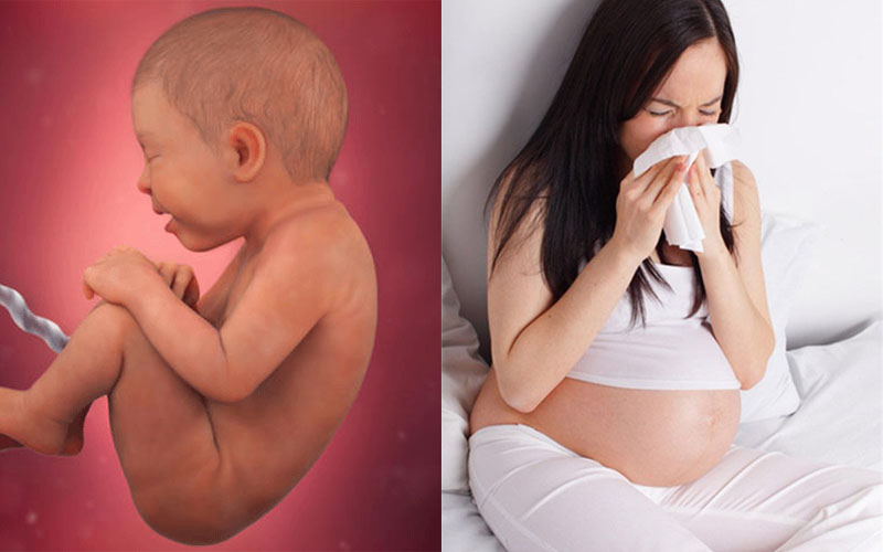 10 cách chữa ho khi mang thai tại nhà an toàn hiệu quả