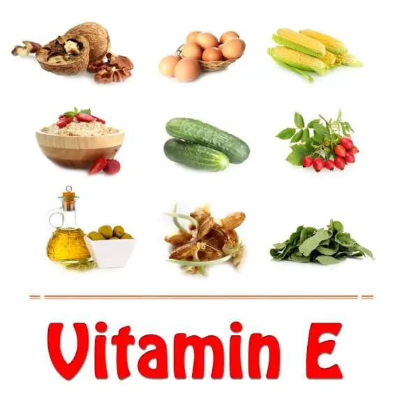 top 10 loại thực phẩm giàu vitamin E bạn nên bổ sung mỗi ngày