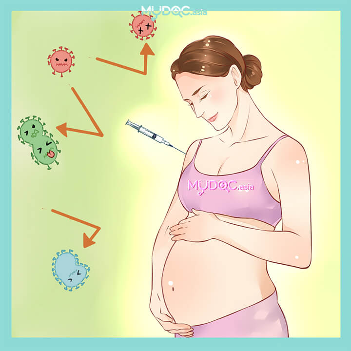 Phòng ngừa viêm gan B như nào? Điều trị như nào đối với mẹ bầu?